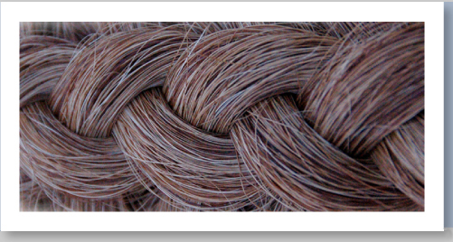 proud horsehairjewelry